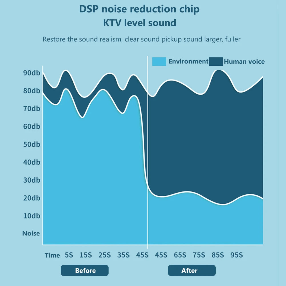 Y1 Wireless Karaoke Speaker