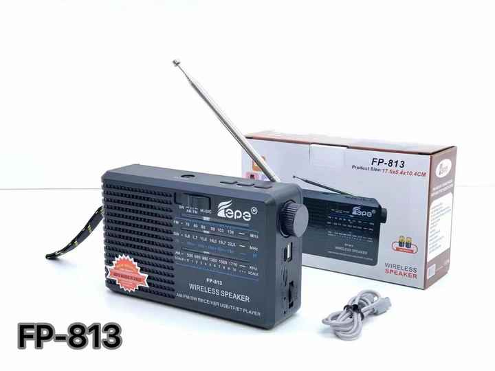 Tepe FM & Bluetooth Wireless Speaker - FP-813