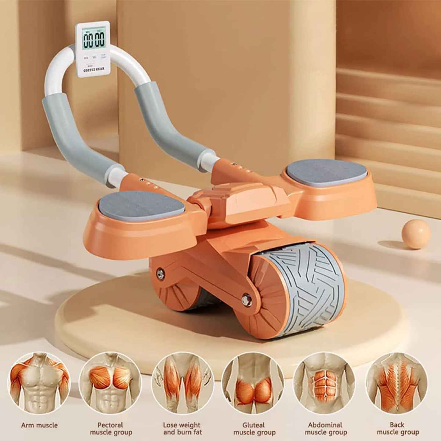2 In 1 Abdominal Wheel With Timer