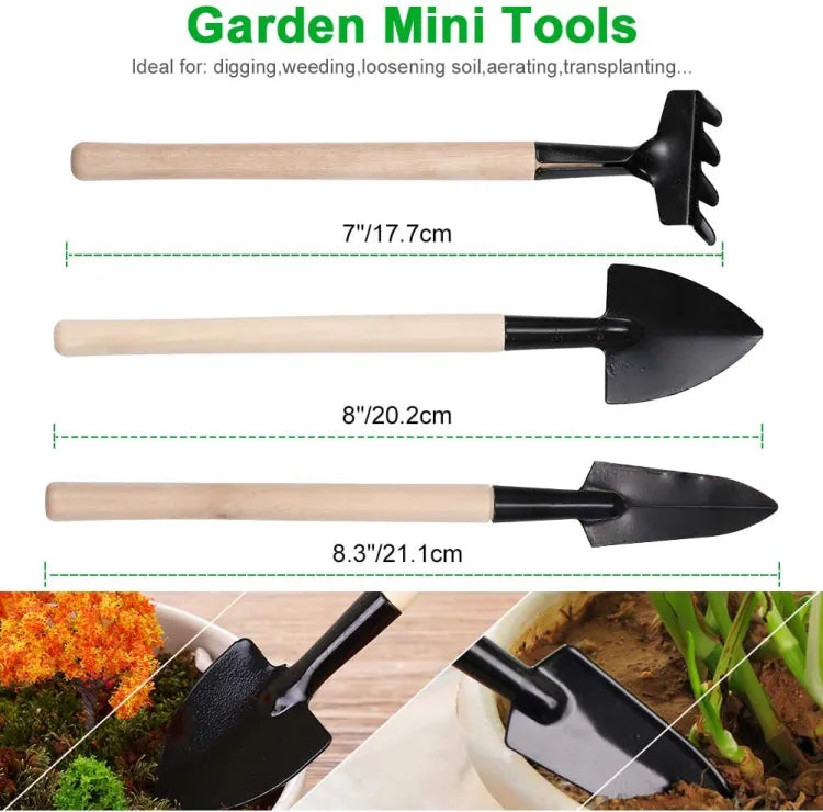 3 Pcs Mini Garden Tool Set