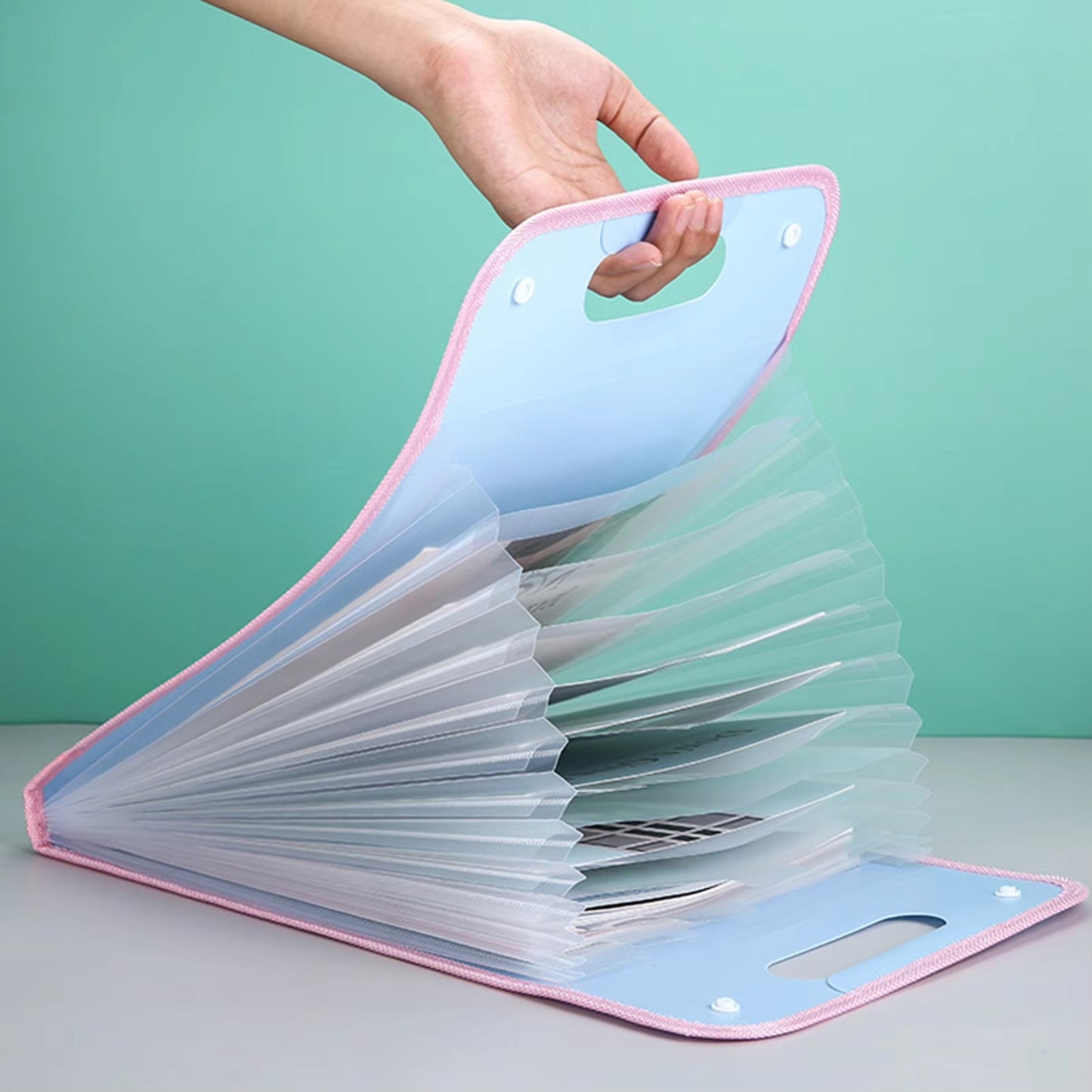 Document Holder