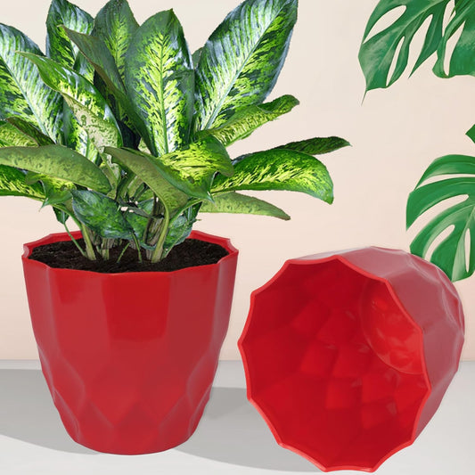 Two diamond flower pots
