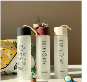 FROSTED GLASSS WATERBOTTLE 380ML