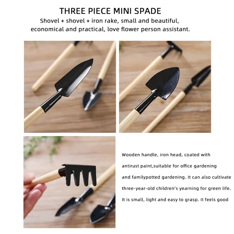 3 Pcs Mini Garden Tool Set
