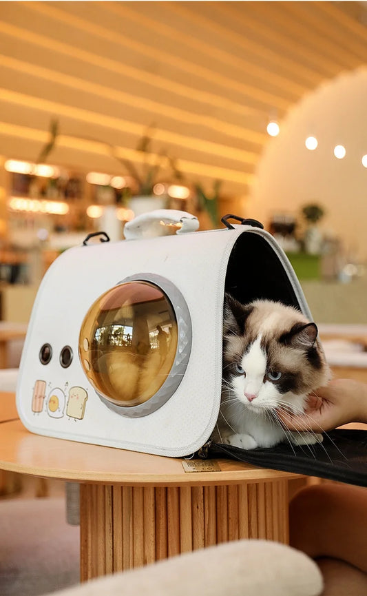 Cat Carrier Bag