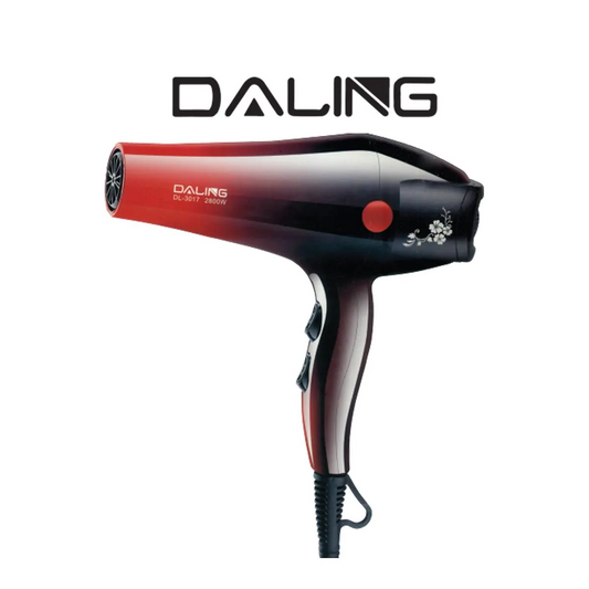 Daling DL-3017 Professional Hair Dryer