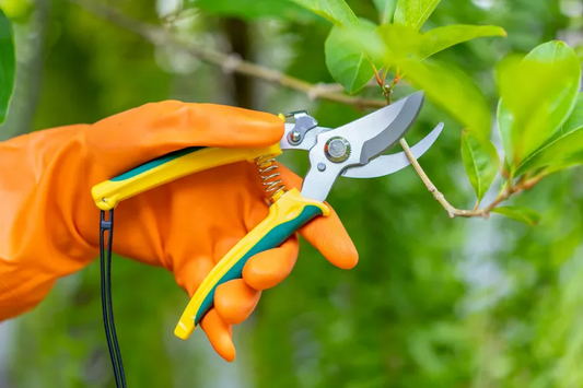 Pruning Garden Shears