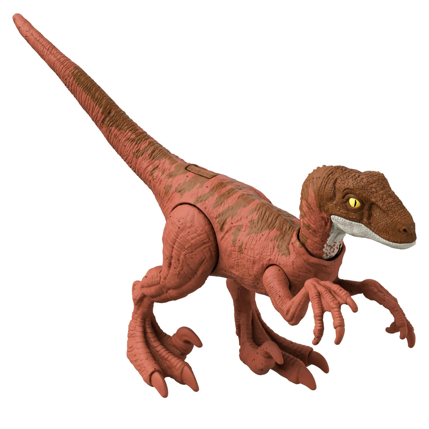 Dinosaur Kingdom- Raptor Toy