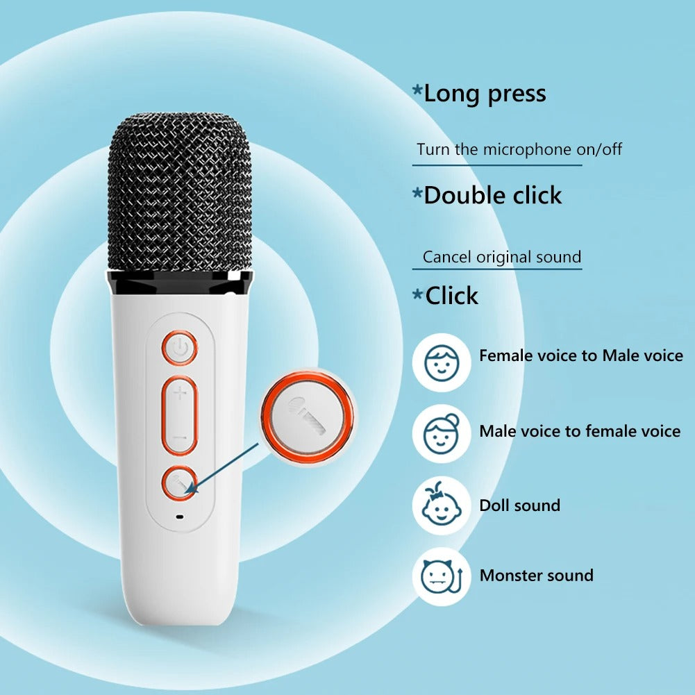 Y1 Wireless Karaoke Speaker